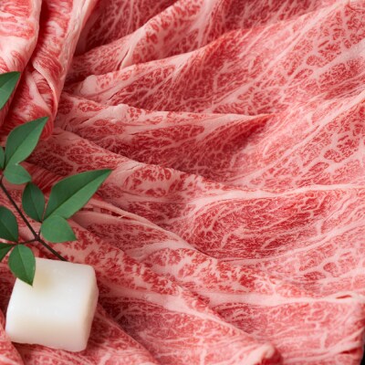 【厳選部位・A4～A5】佐賀牛サーロインしゃぶしゃぶすき焼き用 500g(H112114)