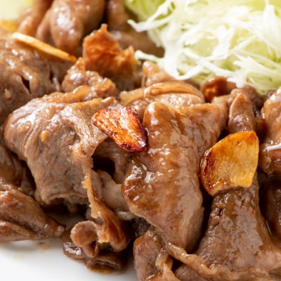 【A4～A5】佐賀牛切り落とし 500g(H112143)