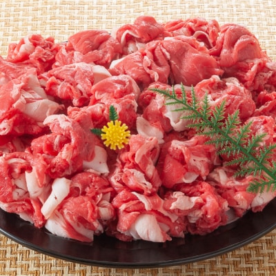 訳あり!佐賀産和牛切り落とし 1.2kg(600g×2P)(H112286)