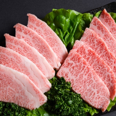 訳あり!佐賀牛焼肉切り落とし(肩ロース・バラ)500g(H112134)