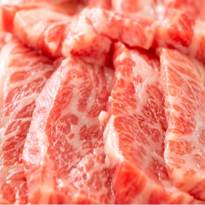 訳あり!佐賀牛焼肉切り落とし(肩ロース・バラ)500g(H112134)