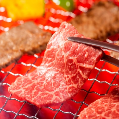 訳あり!佐賀牛焼肉切り落とし(肩ロース・バラ)500g(H112134)