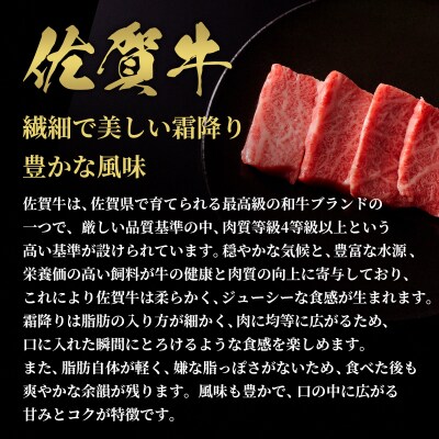 【和牛セレブ】佐賀牛 焼肉肩ロース 250g(H113102)