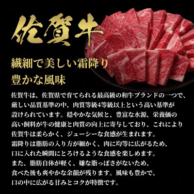 【和牛セレブ】佐賀牛 焼肉ロース 250g(H113104)