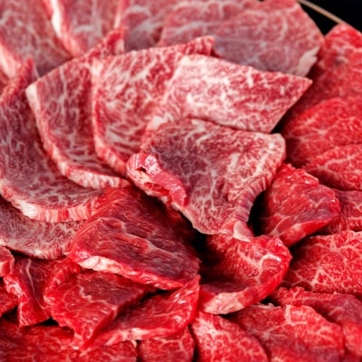 【和牛セレブ】佐賀牛 焼肉モモ・肩 300g(H113106)