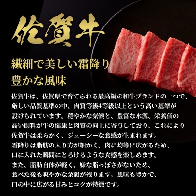 【和牛セレブ】佐賀牛 焼肉モモ・肩 300g(H113106)