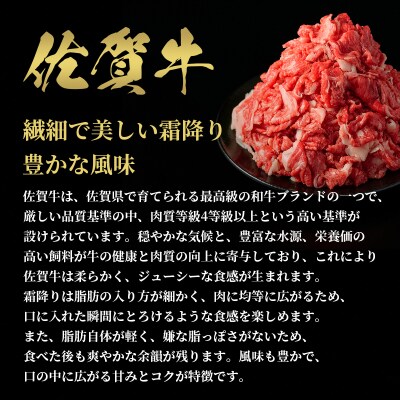 【和牛セレブ】佐賀牛 切り落とし 300g(H113116)