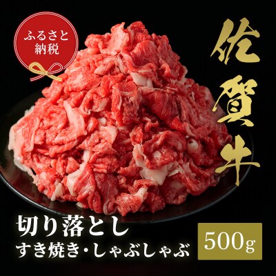 【和牛セレブ】佐賀牛 切り落とし 500g(H113117)
