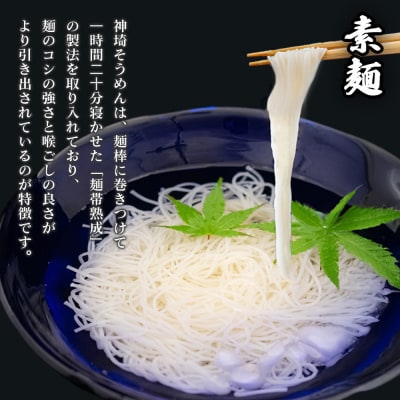 神埼めんセット(そうめん・蕎麦) 計6袋(H110101)