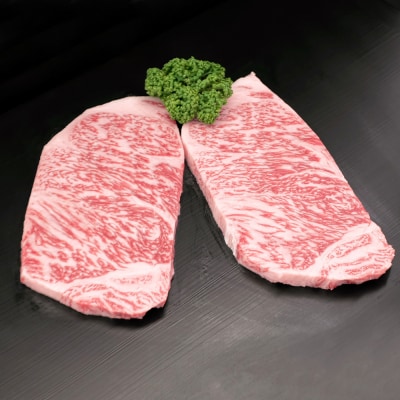 【3回定期便】特別限定セット さがびよりと佐賀牛 おいしいコラボ(H996P109)