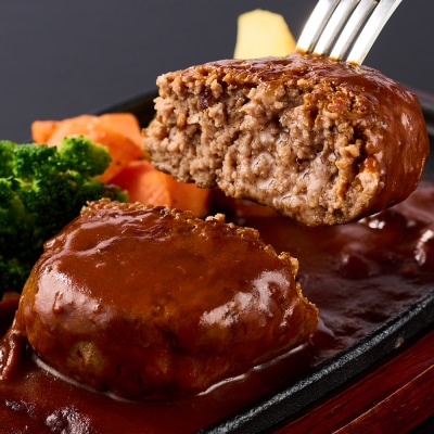 【2回定期便】特別限定セット さがびよりと佐賀牛ハンバーグ おいしいコラボ(H996P110)