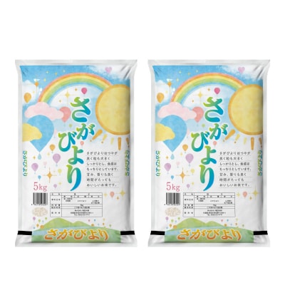 【2回定期便】特別限定セット さがびよりと佐賀牛ハンバーグ おいしいコラボ(H996P129)