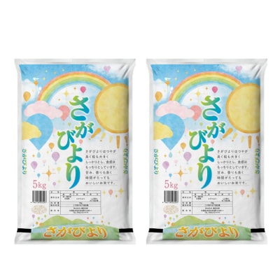 【2回定期便】特別限定セット さがびよりと佐賀牛ハンバーグ おいしいコラボ(H996P129)