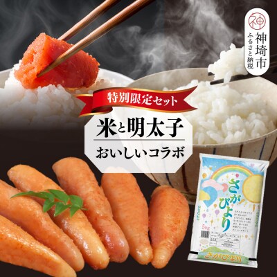 【2回定期便】特別限定セット さがびよりと明太子 おいしいコラボ(H996P128)