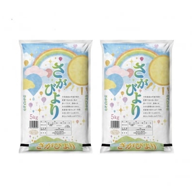 【2回定期便】特別限定セット さがびよりと明太子 おいしいコラボ(H996P111)