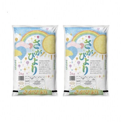 【2回定期便】特別限定セット さがびよりと明太子 おいしいコラボ(H996P128)