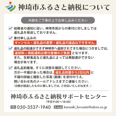 【2回定期便】特別限定セット さがびよりと明太子 おいしいコラボ(H996P111)