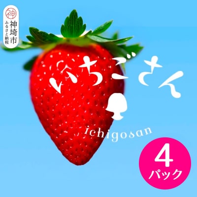 【2027年1月中旬より発送開始】いちごさん4パック(H116133)