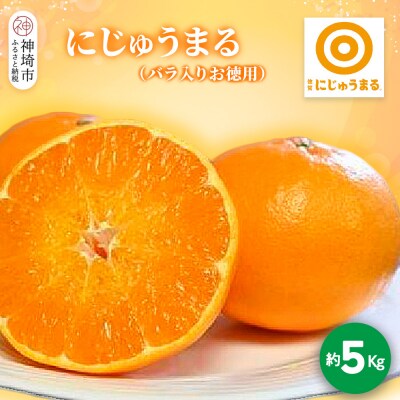 【2026年3月上旬より発送開始】にじゅうまる 約5kg バラ入りお徳用(H116162)