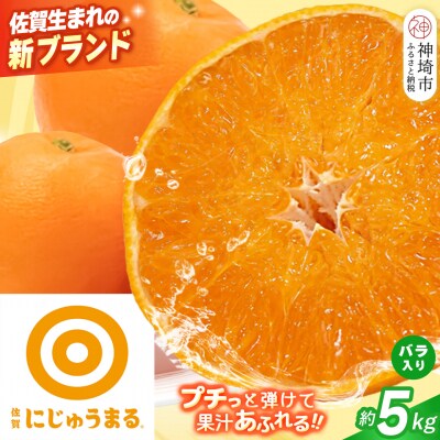 【2027年3月上旬より発送開始】にじゅうまる 約5kg バラ入り(H116162)