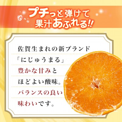 【2027年3月上旬より発送開始】にじゅうまる 約5kg バラ入り(H116162)