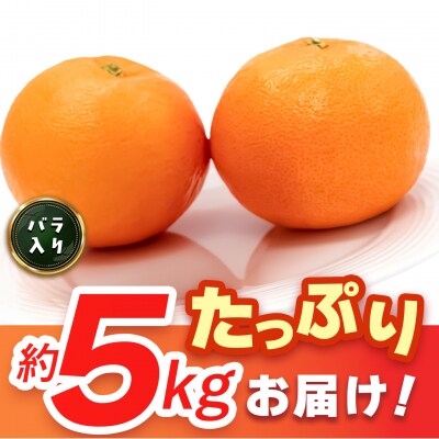 【2027年3月上旬より発送開始】にじゅうまる 約5kg バラ入り(H116162)