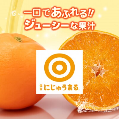 【2027年3月上旬より発送開始】にじゅうまる 約5kg バラ入り(H116162)
