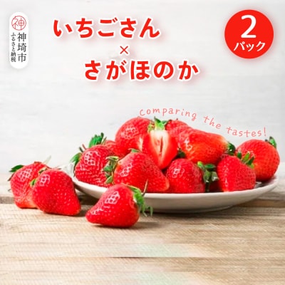 【2027年1月中旬 発送開始】いちご食べ比べ 2パック(いちごさん・さがほのか)(H116135)