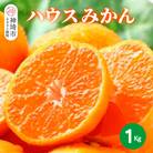 【2026年6月上旬より発送開始】ハウスみかん 1kg(H116138)