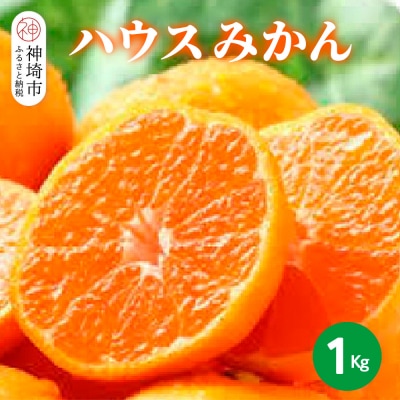 【2026年6月上旬より発送開始】ハウスみかん 1kg(H116138)
