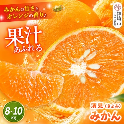 【2027年3月中旬より発送開始】清見(きよみ)みかん 8kg～10kg(H116139)