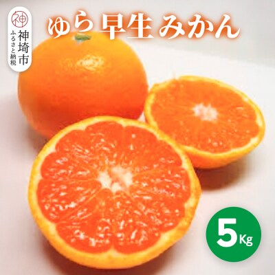 【2026年9月下旬より発送開始】ゆら早生みかん 5kg(H116140)