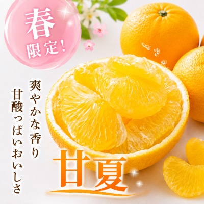 【2027年4月中旬より発送開始】甘夏 5kg(H116143)