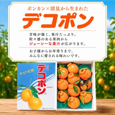 【2027年3月中旬より発送開始】【木なり完熟】デコポン 3kg 150ケース限定(H116148)