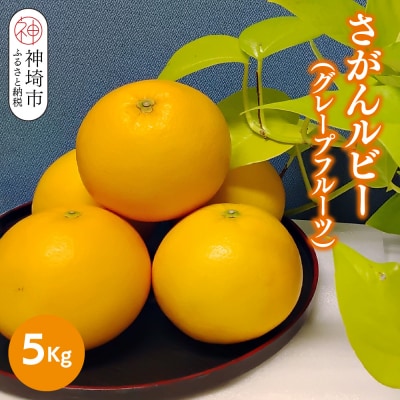 【2026年3月中旬より発送開始】さがんルビー 5kg(グレープフルーツ)(H116149)