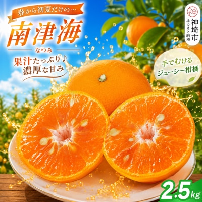 【2027年4月上旬より発送開始】南津海(なつみ)みかん 2.5kg(H116155)