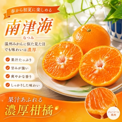 【2027年4月上旬より発送開始】南津海(なつみ)みかん 2.5kg(H116155)
