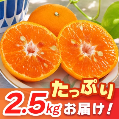 【2027年4月上旬より発送開始】南津海(なつみ)みかん 2.5kg(H116155)