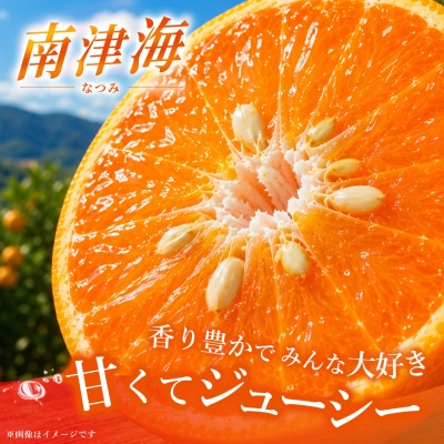 【2027年4月上旬より発送開始】南津海(なつみ)みかん 2.5kg(H116155)
