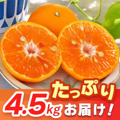 【2027年4月上旬より発送開始】南津海(なつみ)みかん 4.5kg(H116156)
