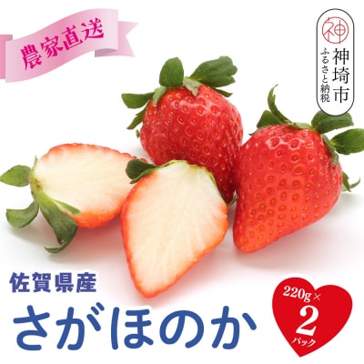 【先行受付】【農家直送】さがほのか220g×2パック(H117101)