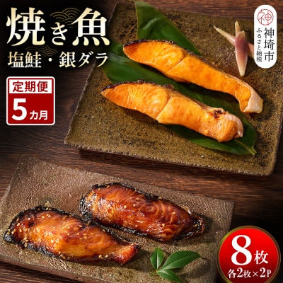 【5カ月定期便】レンジで温めるだけ!「魚屋さんの焼き魚」塩鮭・銀ダラ各2枚×2袋(H032115)