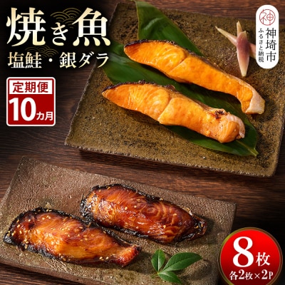 【10カ月定期便】レンジで温めるだけ!「魚屋さんの焼き魚」塩鮭・銀ダラ各2枚×2袋(H032116)