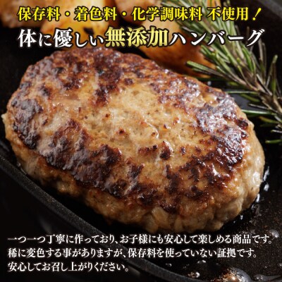 佐賀牛がばいうまかハンバーグ(100g×9個+150g×6個)(H118103)