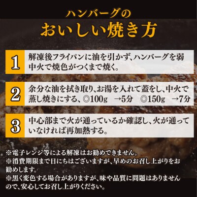 佐賀牛100%がばいうまかハンバーグ(150g×6個)(H118101)