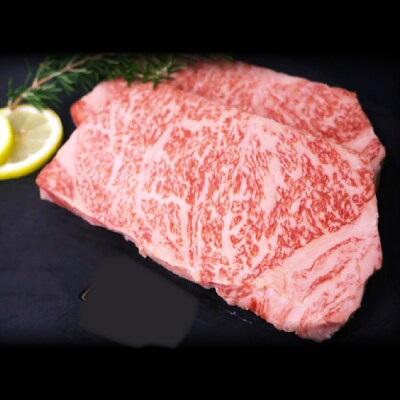 佐賀牛サーロイン 200g×2枚 合計400g(H118107)