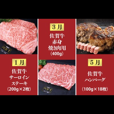【奇数月発送 全6回定期便】ALL佐賀牛定期便(H118111)