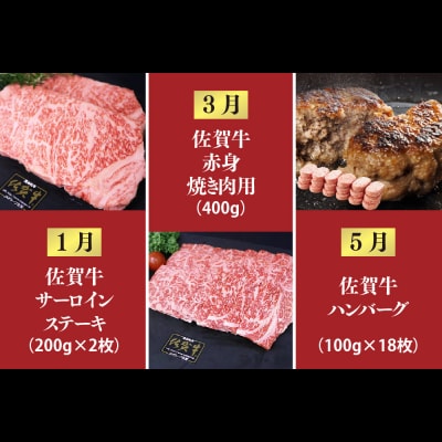 【奇数月発送 全6回定期便】ALL佐賀牛定期便(H118111)
