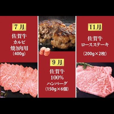 【奇数月発送 全6回定期便】ALL佐賀牛定期便(H118111)