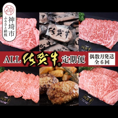 【偶数月発送 全6回定期便】ALL佐賀牛定期便(H118112)